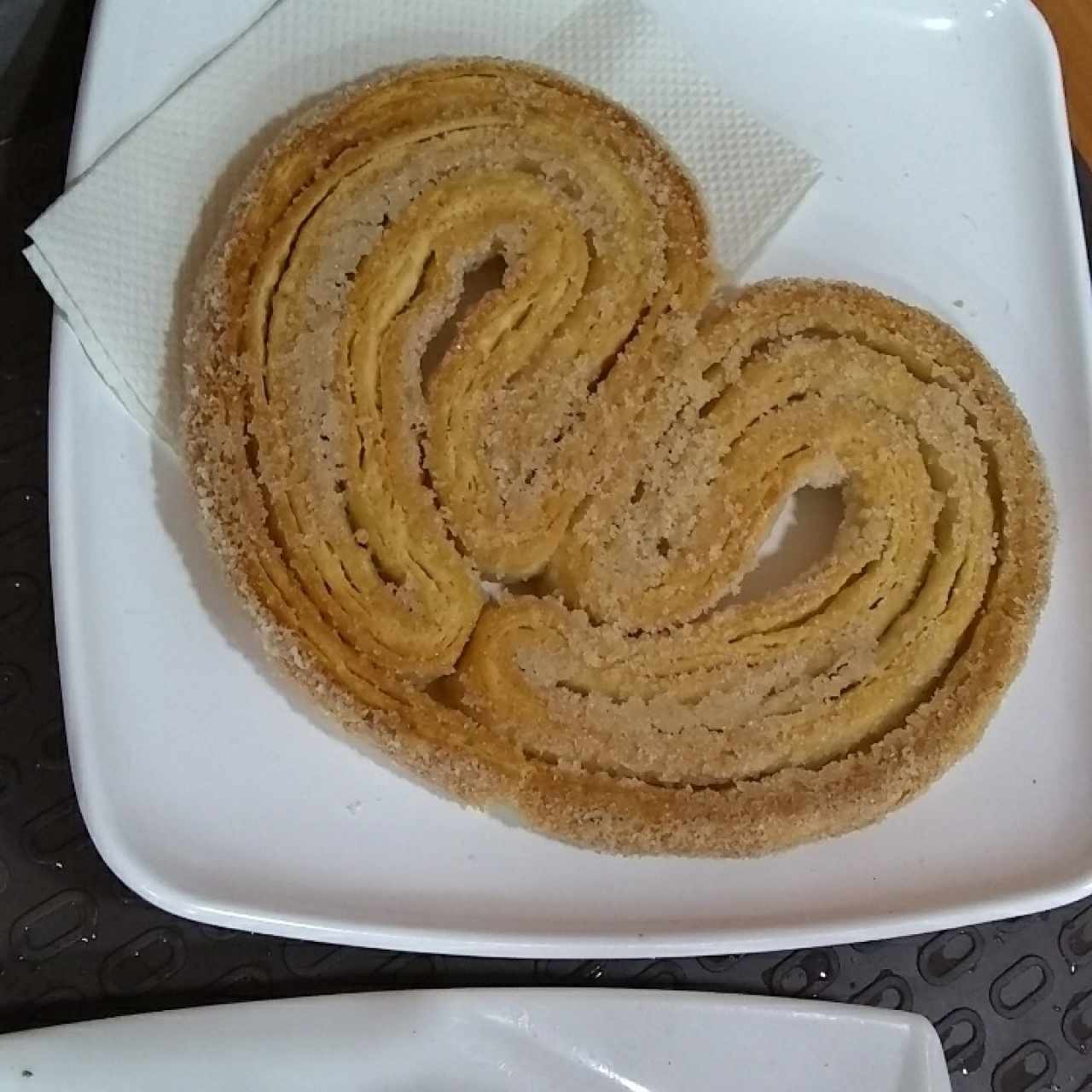 palmera